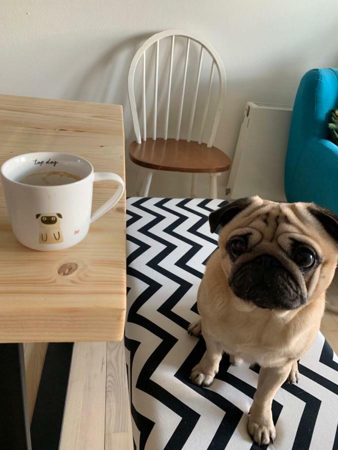 Cute Pug Guesthouse Copenhague Extérieur photo