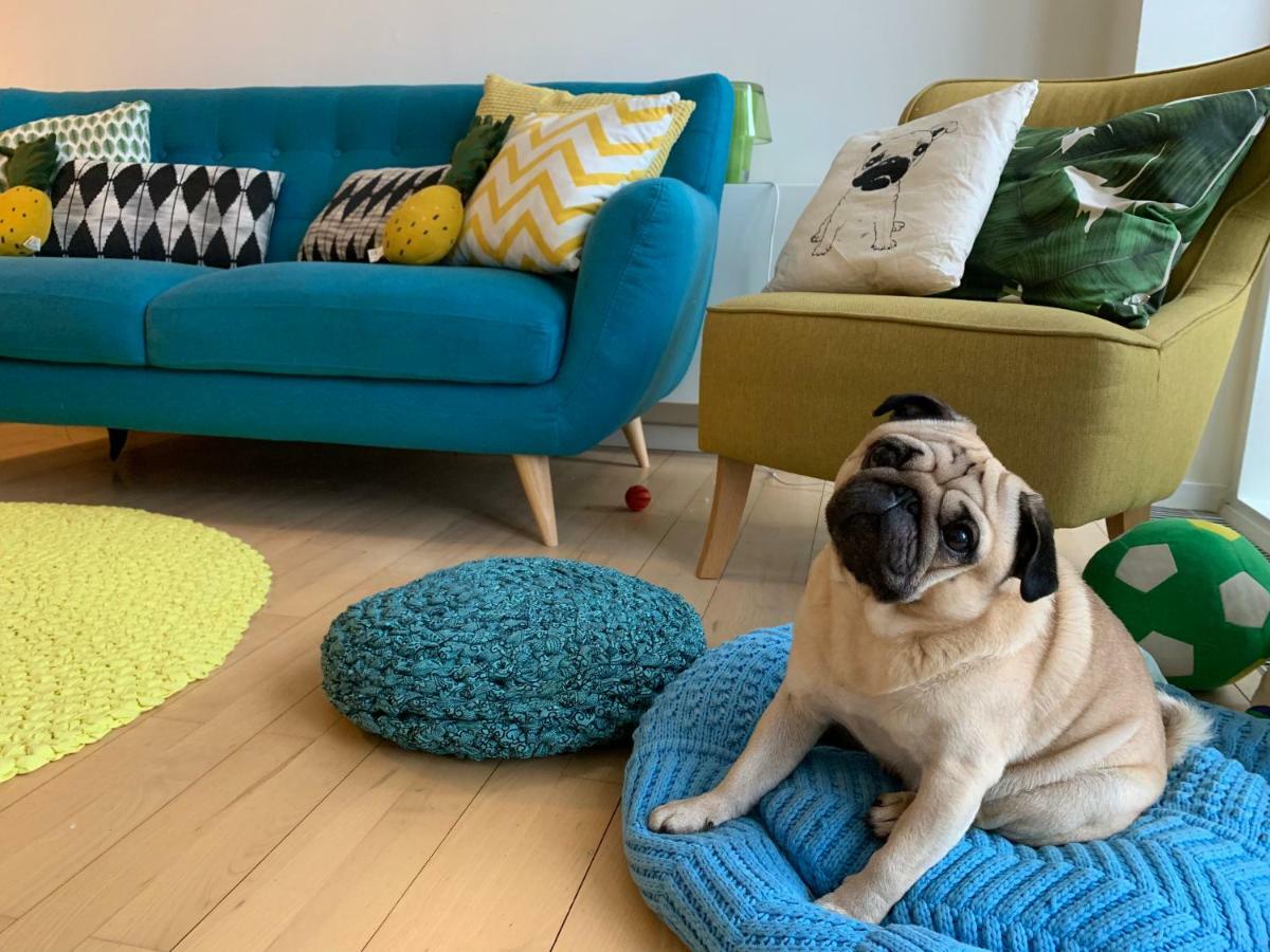 Cute Pug Guesthouse Copenhague Extérieur photo